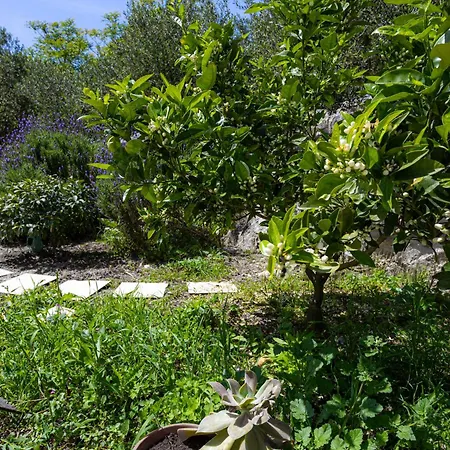 Lägenhet Skalin - Modern Comfort With A Local Touch *