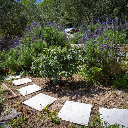 Skalin - Modern Comfort With A Local Touch Rogotin