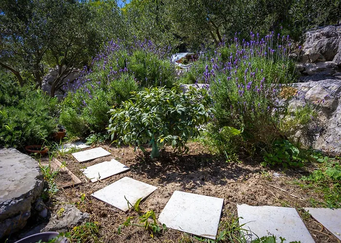 Skalin - Modern Comfort With A Local Touch Rogotin